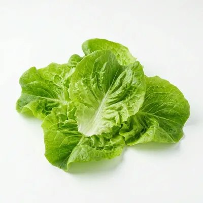 Calories in Lettuce