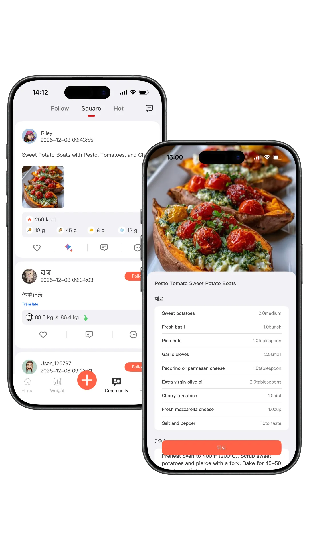 글로벌 레시피 분석